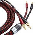 Factory direct OEM & ODM RoHS compliant China cable assembly audio speaker cable 3