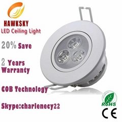 20percent save 2014china hot sale COB LED downlight manufacture