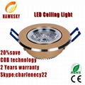 2014china hot sale 3years warranty COB