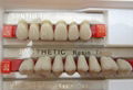 Dental Three-layer Acrylic Teeth 2