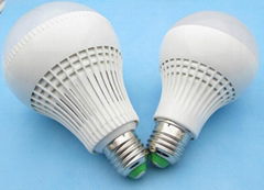 10 years reputation LED bulb light vender