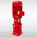 广一水泵XBD-DLL型消防泵 1