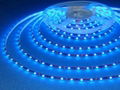 high efficiency waterproof 3528 60led bule led strip