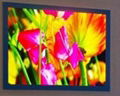 P2.5 indoor led display