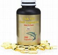 Fish Oil Softgel 2