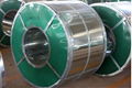 Galvanized Steel Coil 1