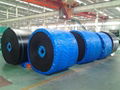 High quality heat resisitant conveyor belt 5