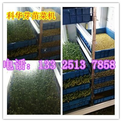 全自動芽苗菜機器 3