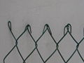 Chain Link Fence 1