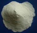 Phosphatidylserine 1