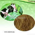 Epimedium Extract Icariin 10%