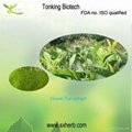 Natural Green Tea extract powder Tea