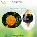 Protect eyesight Marigold Extract Lutein 1