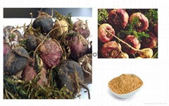 Maca root powder, Red maca extract