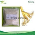 Dietary ingredients Panax ginseng extract Ginsenosides 10%-80%