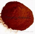 Anti-oxidants Grade seed extract OPC95% 