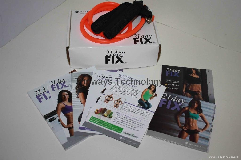 2014 New 21 Day Fix Yoga Plyo Fix 4 Disc Fitness Workout  With Resistance Bands
