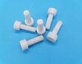 M3 Ceramic Socket Head Cap Screws Length : 8mm 