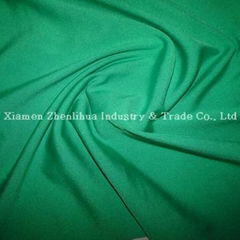 Green Polyester Lycra Single Jersey