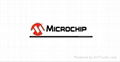Microchip Microcontroller  PIC16F1936-I/SS(TUBE) 3