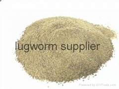 lugworm powder