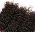 Deep Curly Virgin Remy Chinese Human Hair Extension 4