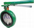 DEMCO interchangeable butterfly valves