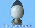 Active Magnesium Oxide 4
