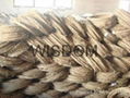 Galvanized Iron Wire 2