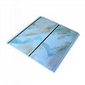 Pvc decorate panel （BF-17) 1