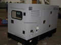 Silent Diesel Generator with Chinese