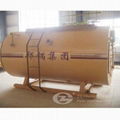 city  gas fired steam boiler