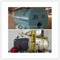 biogas fired steam  boiler