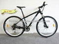 Lionhero Carbon fiber mountain bike