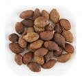 Malva Nuts from Vietnam 1