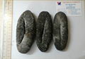 Dried Sea Cucumber From Vietnam