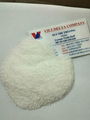 Vietnamese Desiccated Coconut - Great Materials For Cakes And Food From Vietnam 2