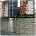 LOW FAT DESICCATED COCONUT POWDER/ COCONUT POWDER FROM VIETNAM