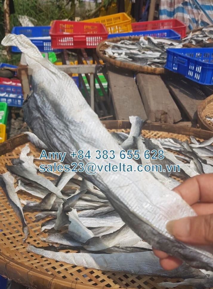 EXTRACTION COLLAGEN FROM DRIED PANGASIUS FISH SKIN 5