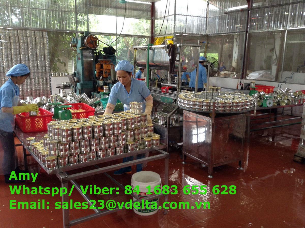 VIETNAM CANNED PINEAPPLE AMY +84 383 655 VIET DELTA (Vietnam Manufacturer) Canned Food