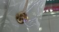 Fashion steel jewelry -HOT SELLING ROSE GOLDEN FLOWER PENDANT NECKLACE