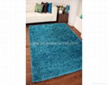 shaggy carpet & rugs