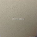 Billow Quartz Stone Quartz surface 1