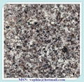 Granite G664 China green China Juparana Red Porphyry Desert Yellow Granite