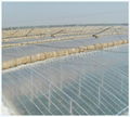 Transparent FRP Roofing Tile for