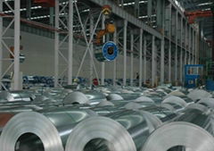 Prime Quality Galvanized Steel Coil