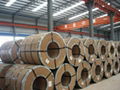 hot sale best price galvanized steel coils