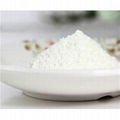 Desiccated Coconut Powder 1