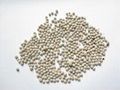 VIET NAM BLACK WHITE  PEPPER  1