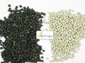 VIET NAM BLACK WHITE  PEPPER  2